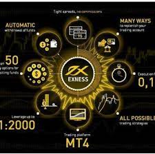 下载MT4 Exness：适合广大用户的交易平台